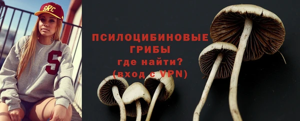 крисы Бугульма