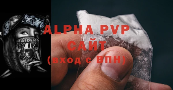 эйфоретик Бородино