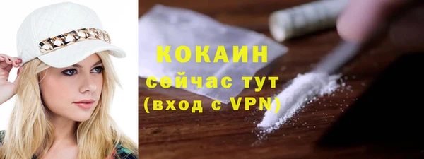 эйфоретик Бородино