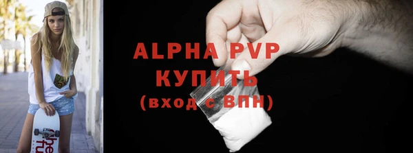 эйфоретик Бородино