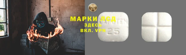 мдпв Краснослободск