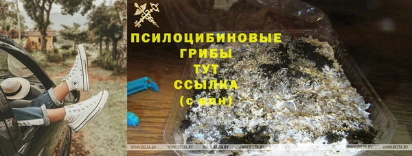 крисы Бугульма
