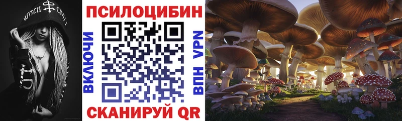 Галлюциногенные грибы прущие грибы  закладки  Гудермес 