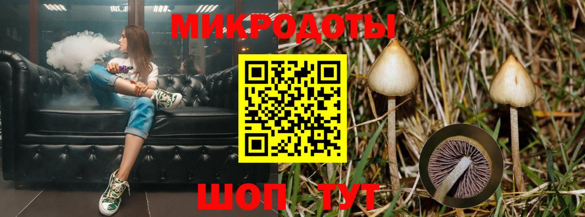 купить   Галлюциногенные грибы Magic Shrooms  Вход с VPN  Гудермес 